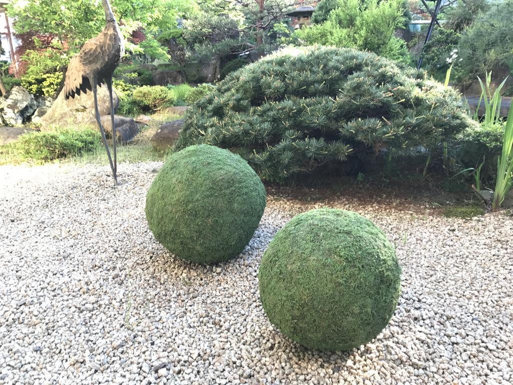 Hohoemino Kuyufu Tsuruya Tendō Luaran gambar